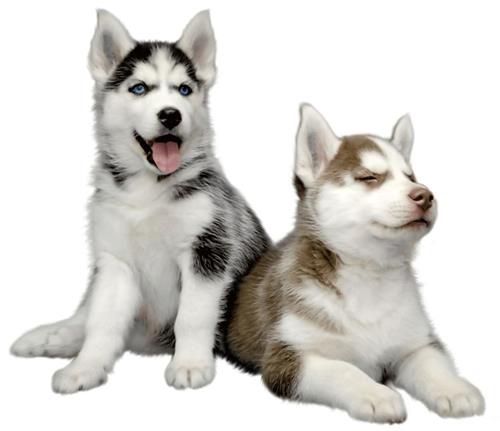 配色弱不用怕,用这个方法给你的配色轻松加「滤镜」