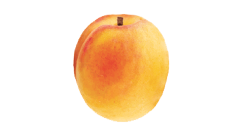 手残党的福音!一篇教程让你get四种手绘风格!