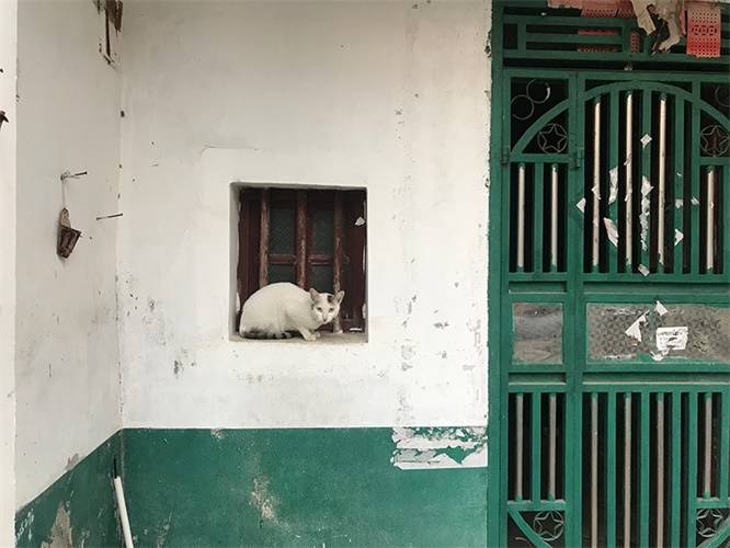 拍一张照片,就能设计成一幅海报!(附实操改稿案例)