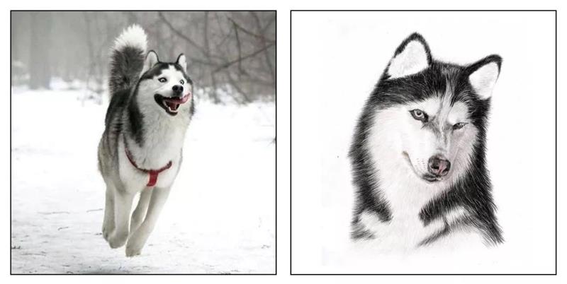 如何从杂志里学会图片修饰方法?来看高手的平面教程!