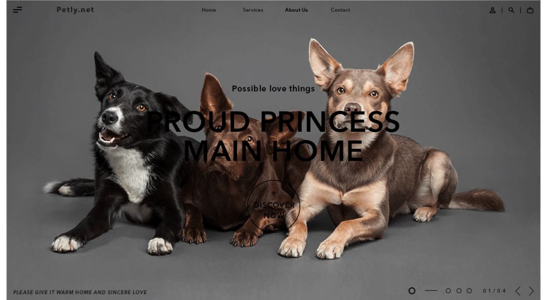 超实用！零基础新手也能轻松学会的配色技巧