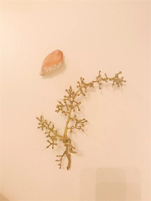 拍一张照片，就能做出一幅海报！