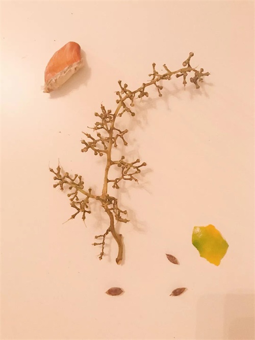 拍一张照片，就能做出一幅海报！