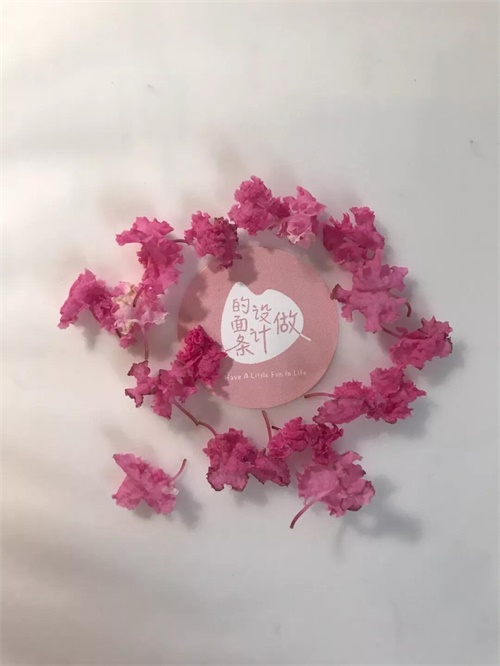 拍一张照片，就能做出一幅海报！