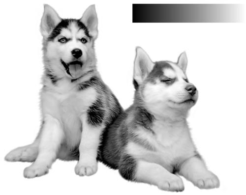 配色弱不用怕,用这个方法给你的配色轻松加「滤镜」