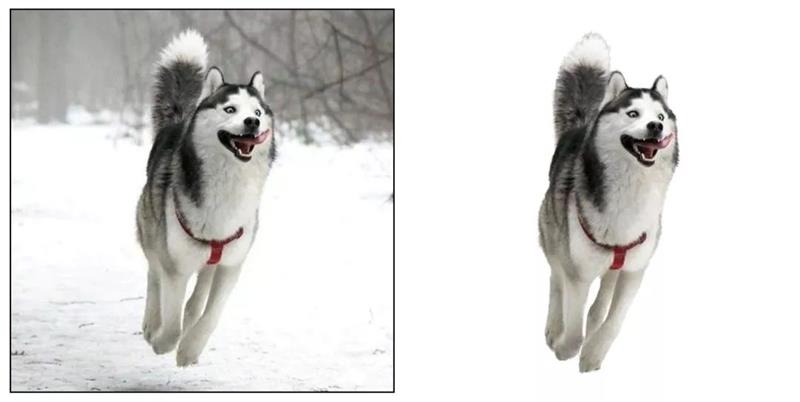 如何从杂志里学会图片修饰方法?来看高手的平面教程!