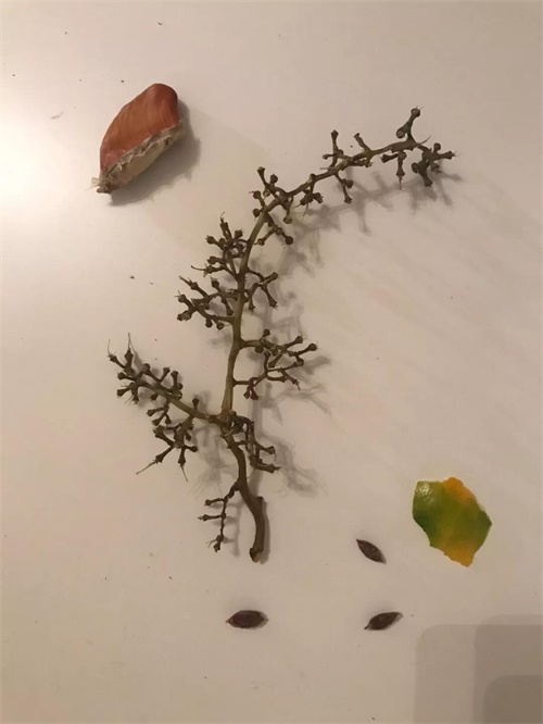 拍一张照片，就能做出一幅海报！