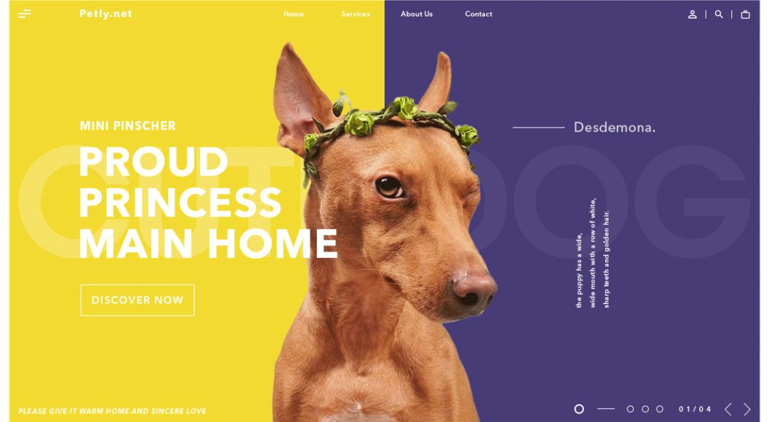 超实用！零基础新手也能轻松学会的配色技巧