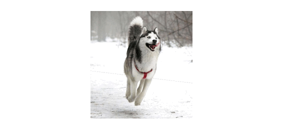 如何从杂志里学会图片修饰方法?来看高手的平面教程!