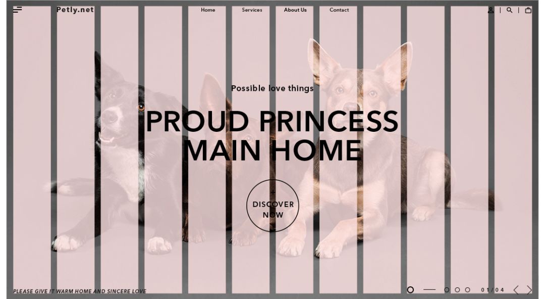 超实用！零基础新手也能轻松学会的配色技巧