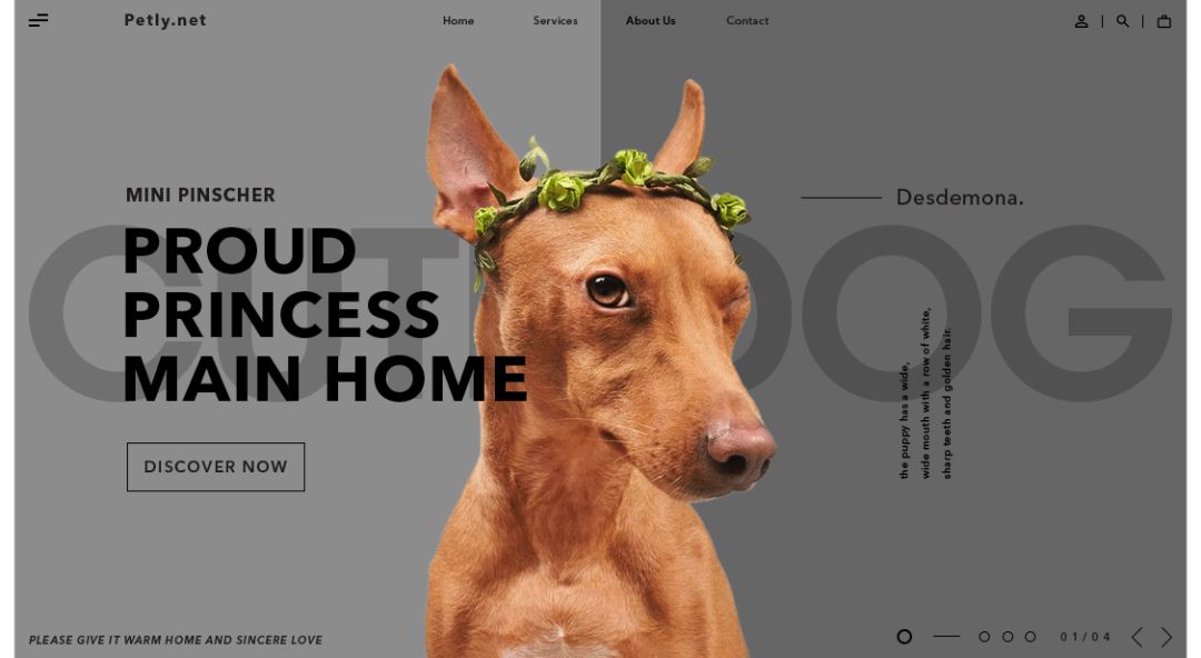 超实用！零基础新手也能轻松学会的配色技巧