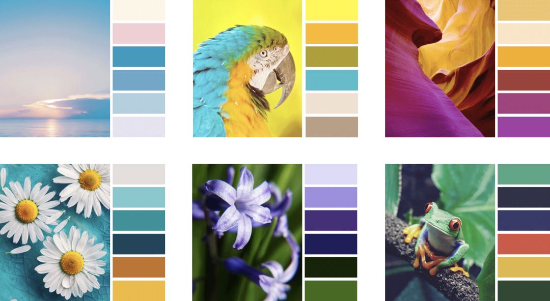 AI 一键换色,这功能也太强大了!!