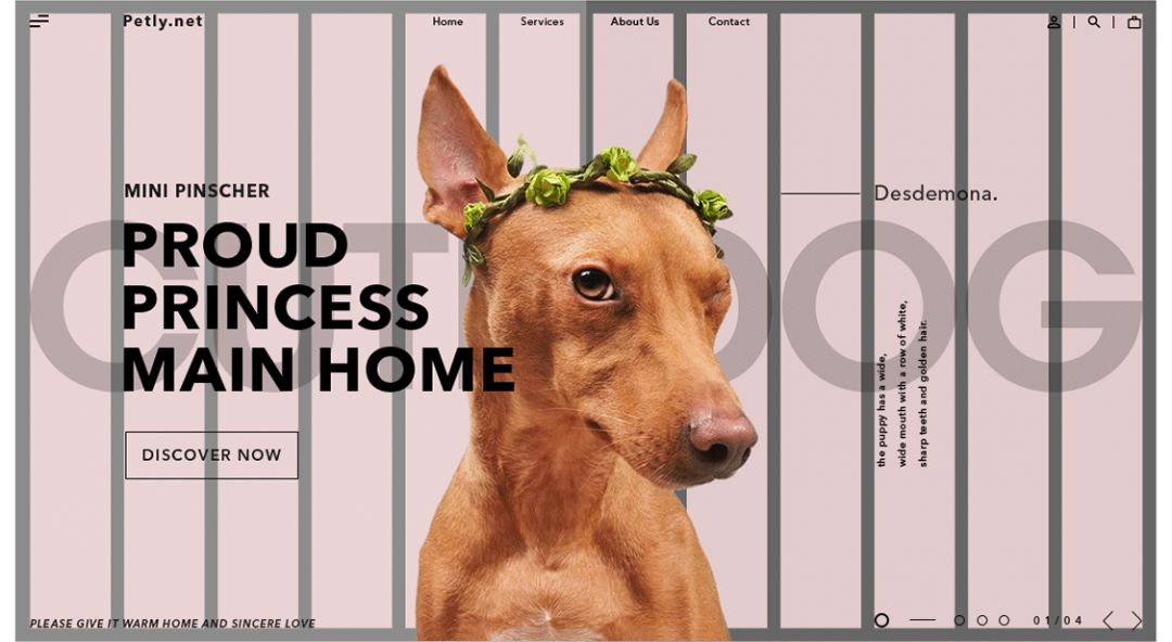 超实用！零基础新手也能轻松学会的配色技巧