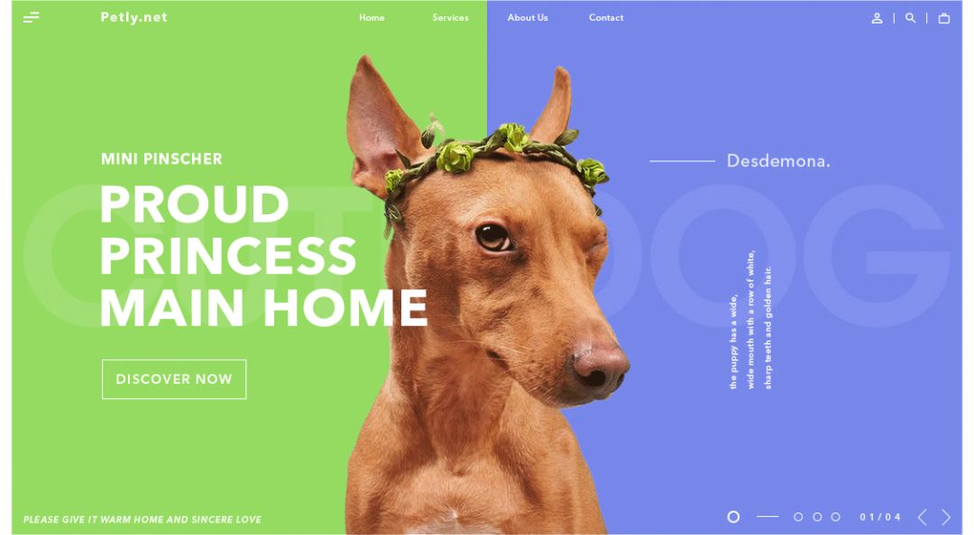 超实用！零基础新手也能轻松学会的配色技巧