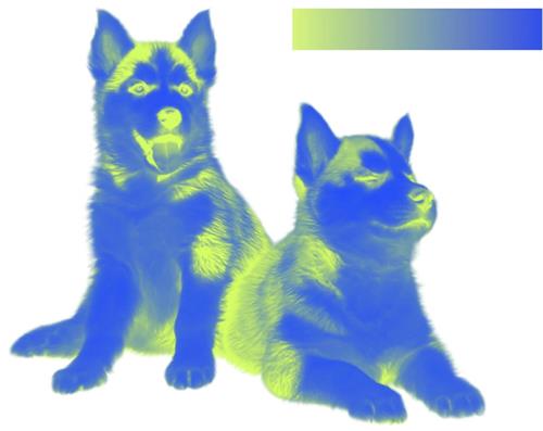 配色弱不用怕,用这个方法给你的配色轻松加「滤镜」