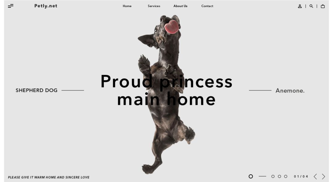 超实用！零基础新手也能轻松学会的配色技巧