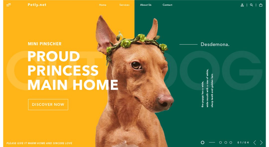 超实用！零基础新手也能轻松学会的配色技巧