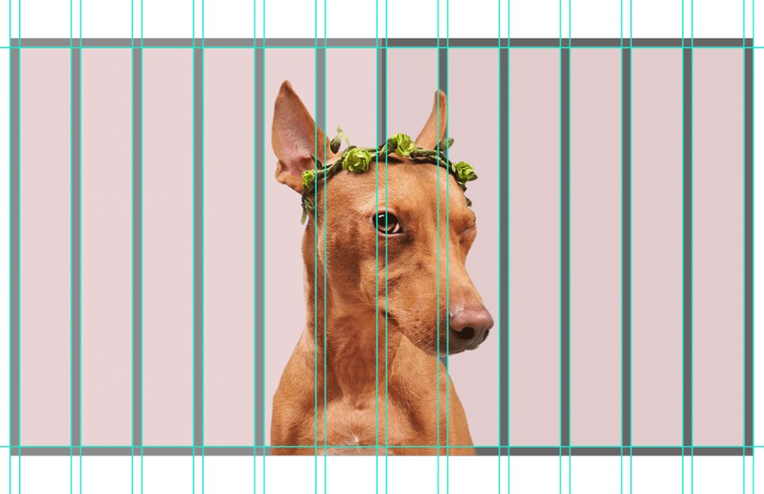 超实用！零基础新手也能轻松学会的配色技巧