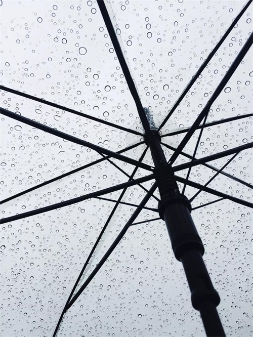 拍一张照片，就能做出一幅海报！