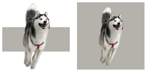 如何从杂志里学会图片修饰方法?来看高手的平面教程!