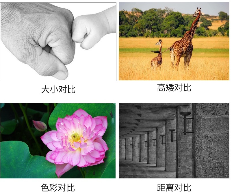 画面太平?帮你学会经典的对比原则!