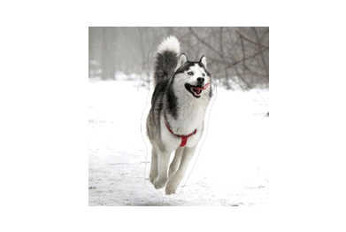 如何从杂志里学会图片修饰方法?来看高手的平面教程!