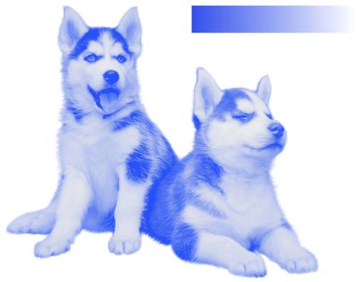 配色弱不用怕,用这个方法给你的配色轻松加「滤镜」