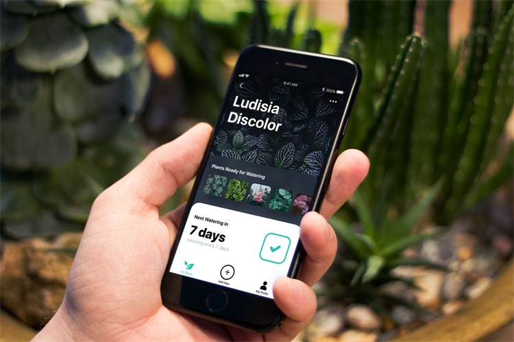 浅色还是深色?教你选择合适的界面配色方案!