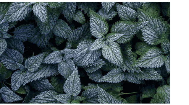 配色弱不用怕,用这个方法给你的配色轻松加「滤镜」