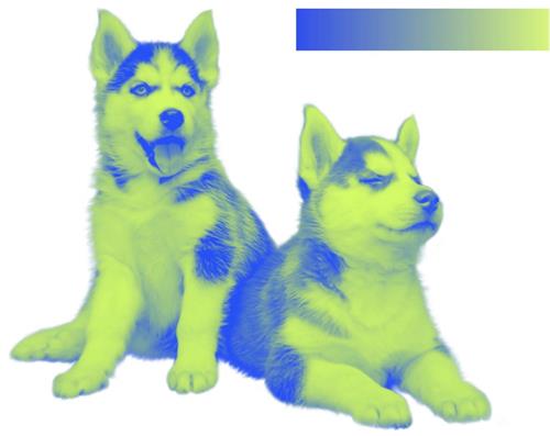 配色弱不用怕,用这个方法给你的配色轻松加「滤镜」