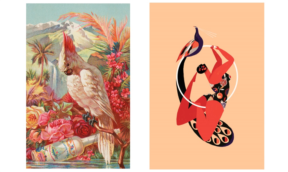 插画风格图鉴(上):知道插画风格是如何演化的吗?