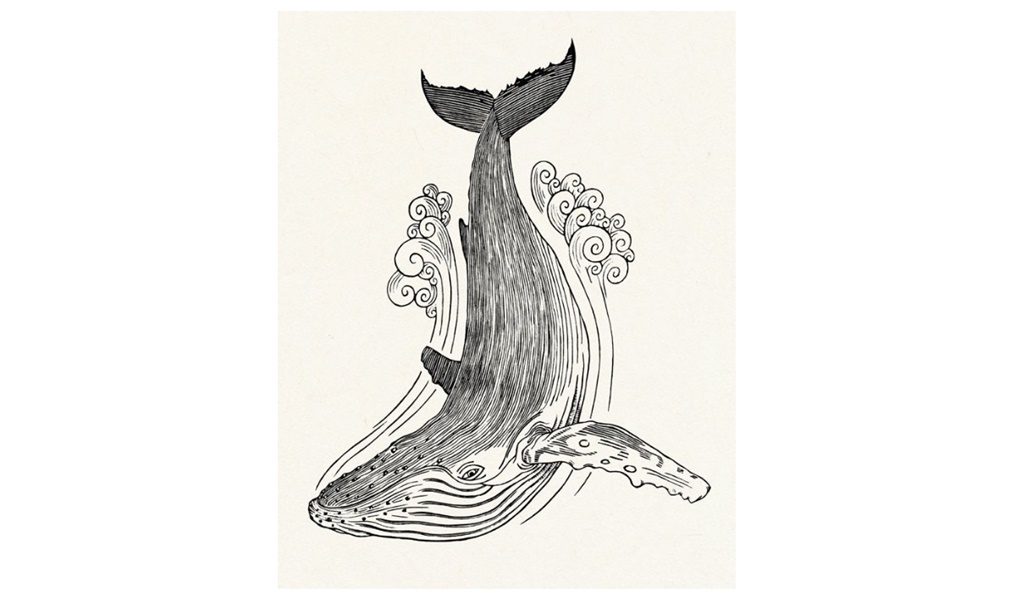 插画风格图鉴(上):知道插画风格是如何演化的吗?