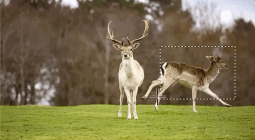 Adobe发布PS 2020版!逆天黑科技看哭设计师…