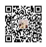 搜索是如何逐步实现业务创新的?我总结了这3个方法!