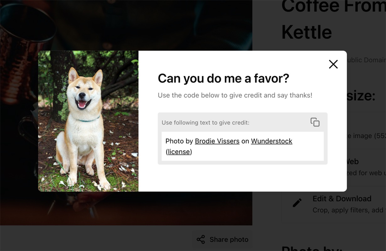 千万张图片免费用!Wunderstock 这个网站太良心了!