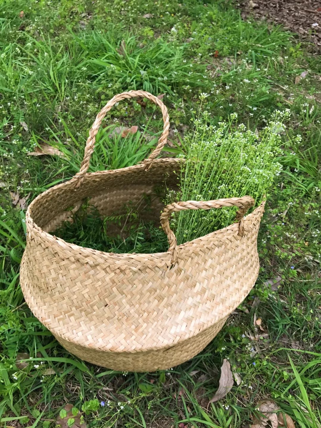 高手出品!这是一篇不看会后悔的配色干货!