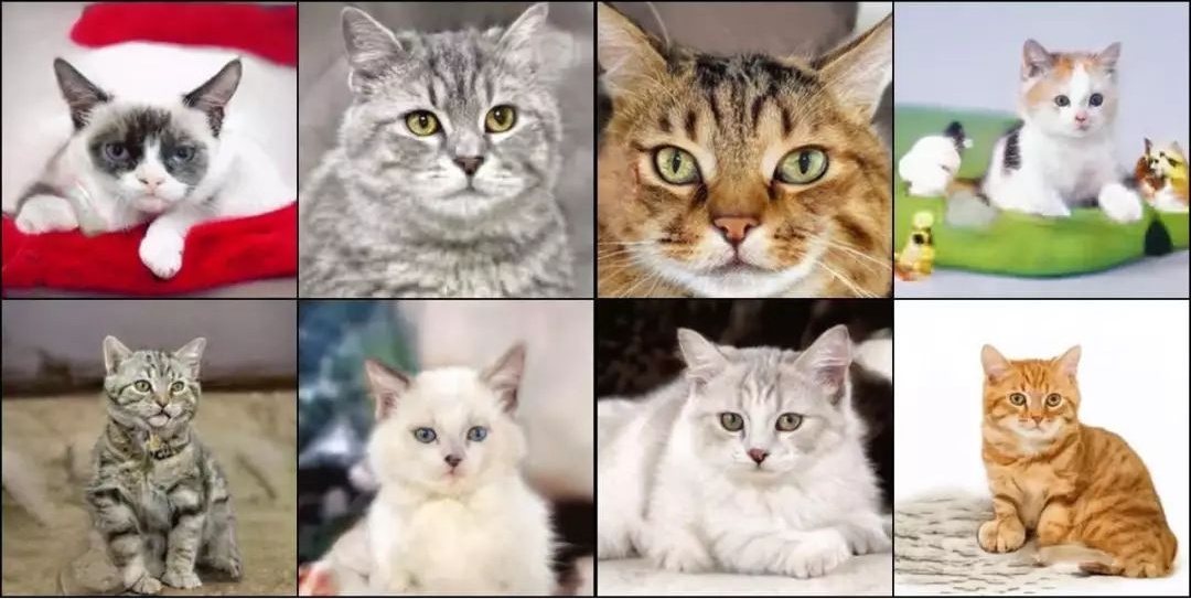 体验鹿班前,先来这6个人工智能网站感受 AI 黑科技!