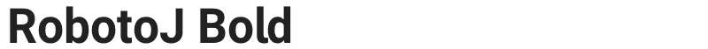 RobotoJ Bold