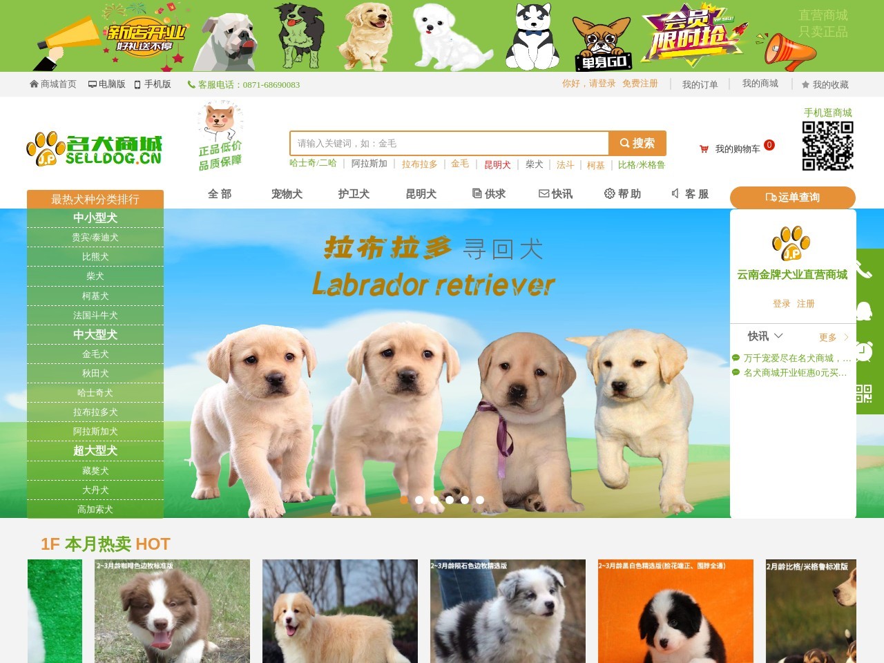 名犬商城官网预览图