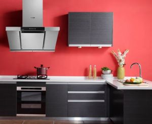 雄县厨电专卖店