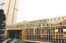 纽徕佛牌多种维生素咀嚼片