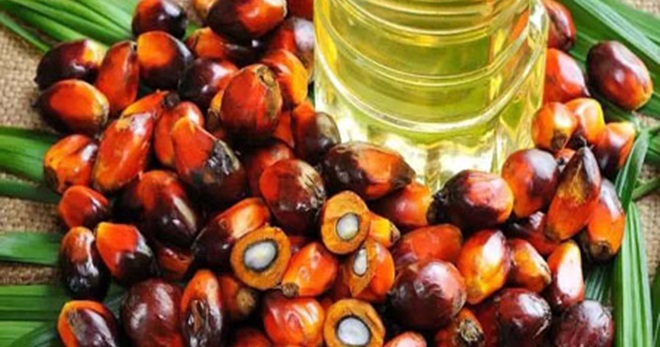 棕榈油