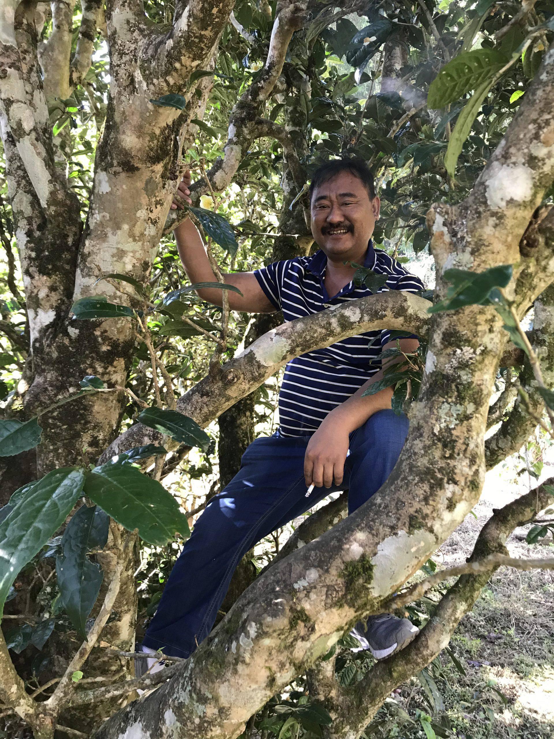 853e9201-3436-443f-9934-6202d8695267