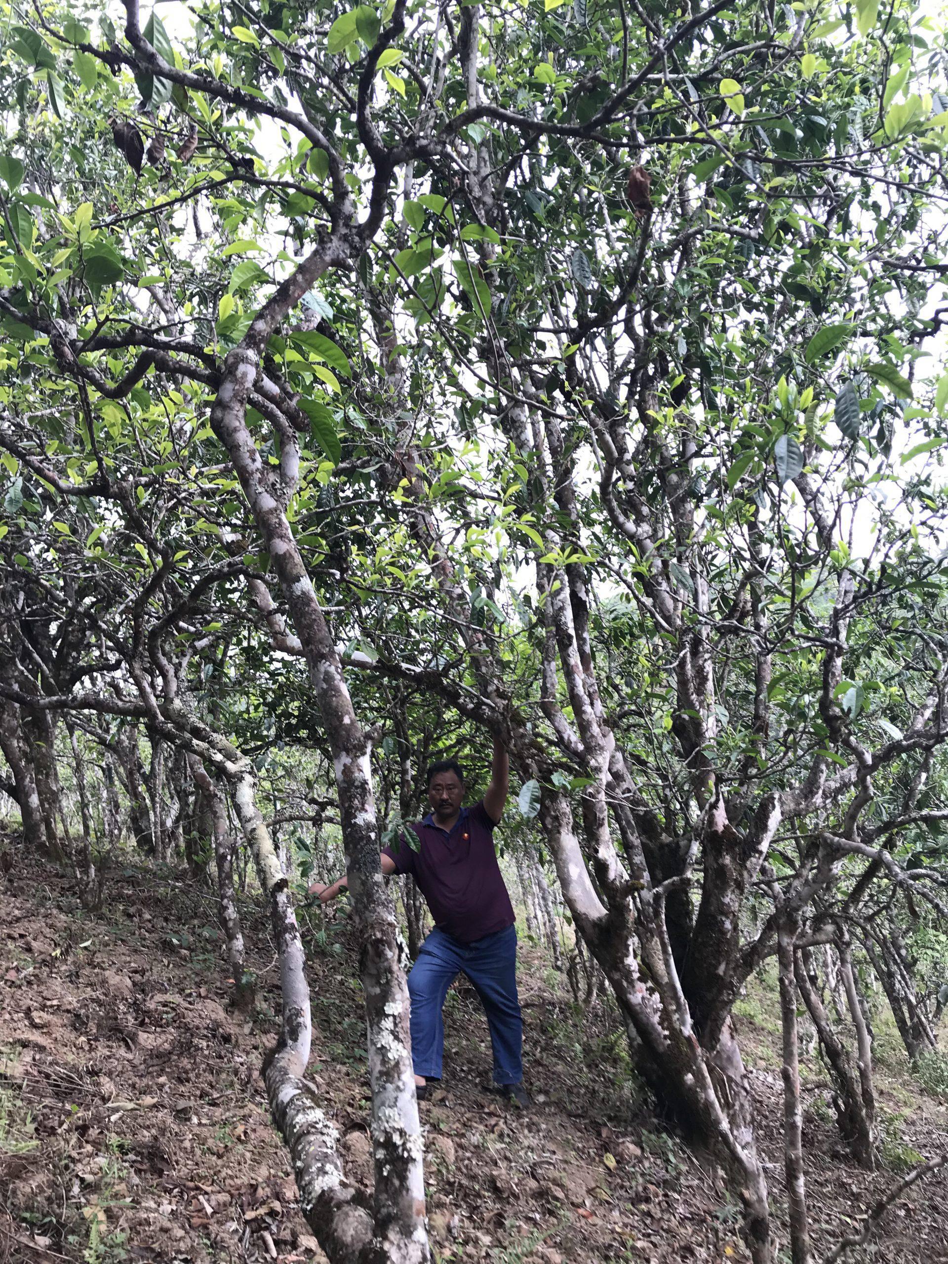 6fae0113-8a93-4f78-bbcc-e0fa10a53522