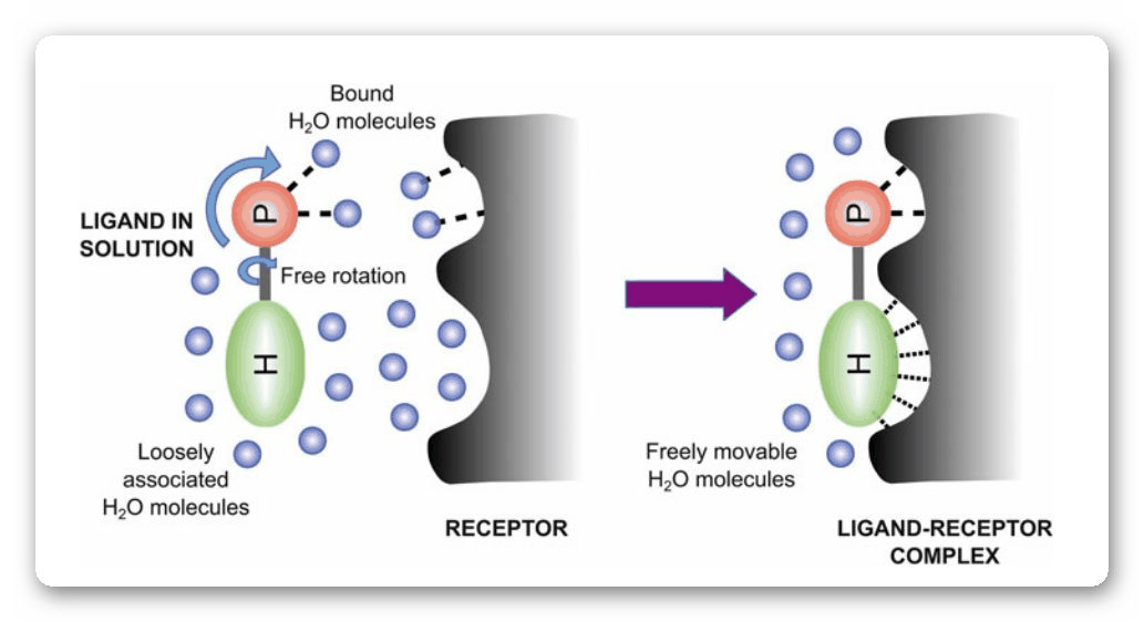 配体 (生物化学)