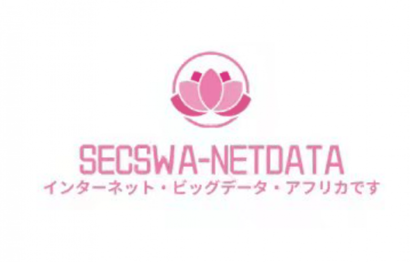 SECSWA-NETDATA